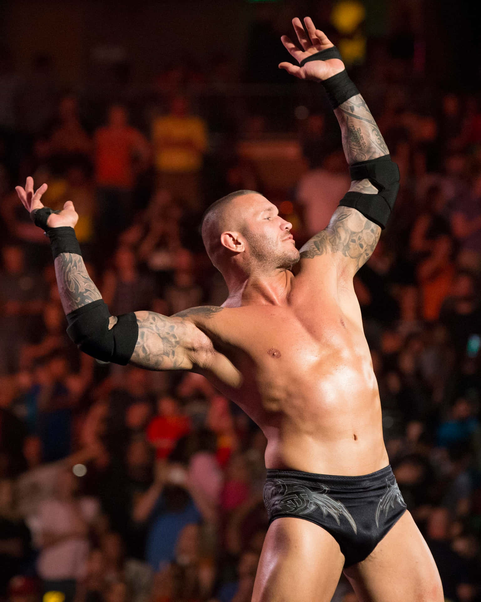 [100+] Randy Orton Pictures | Wallpapers.com - How Old Is Randy Orton: WWE Superstar’s Age and Athleticism