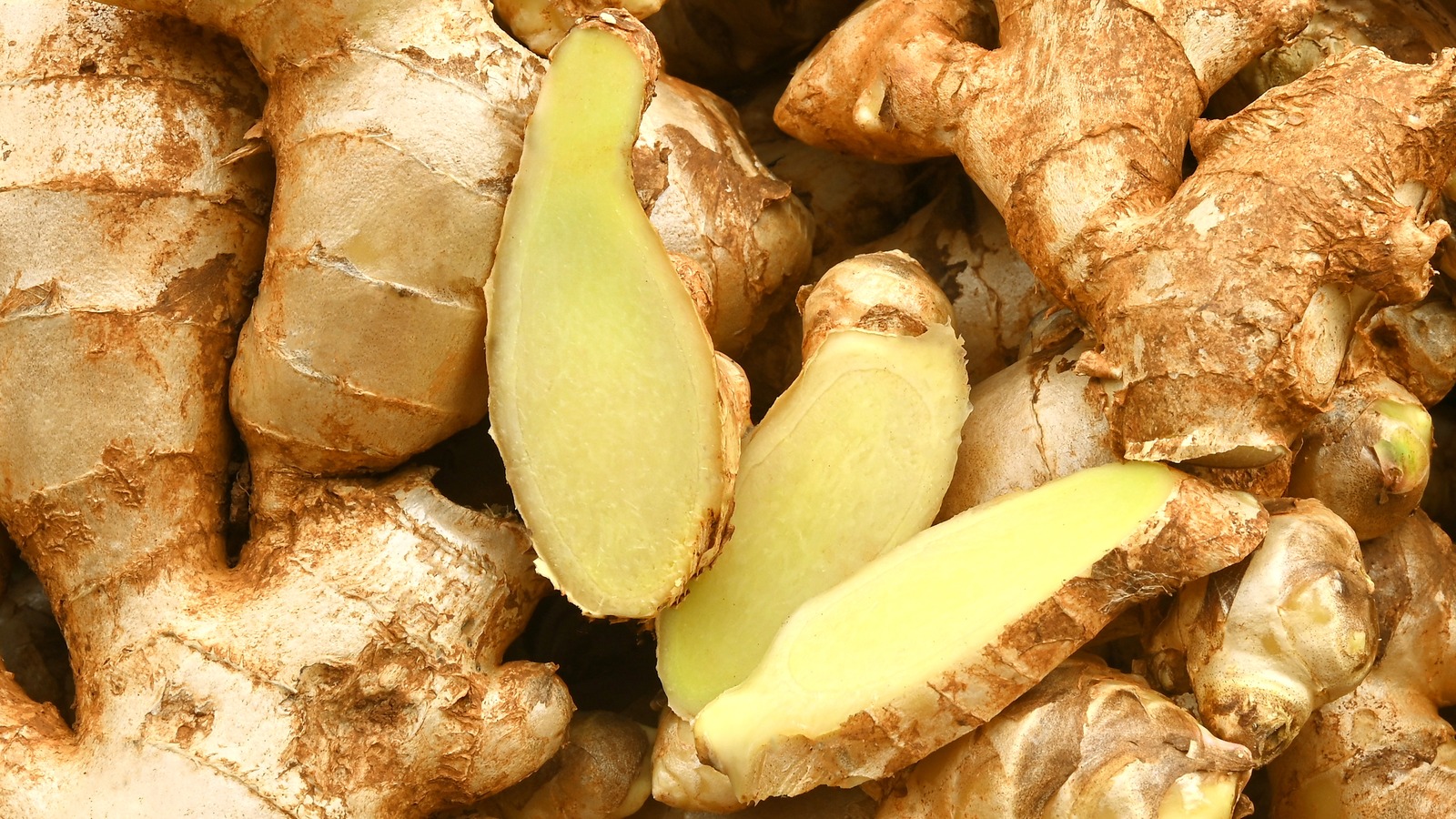 12 Varieties Of Culinary Ginger, Explained - How Tall Is Ginger Minj: The Drag Queen’s Towering Presence