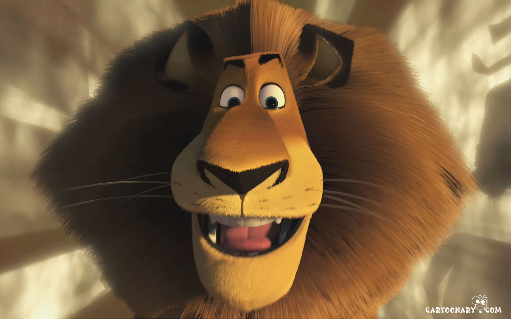 Alex Wallpaper - Alex the Lion Wallpaper (24491239) - Fanpop - Who Is Alex Cooper’s Husband? Is the Call Her Daddy Host Married?