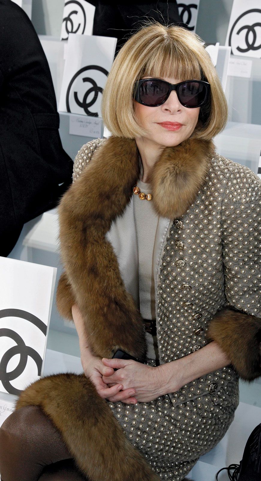Anna Wintour | Biography, Medal of Freedom, Vogue, & Facts | Britannica - Anna Wintour Net Worth – Vogue’s Iconic Editor-in-Chief’s Fortune