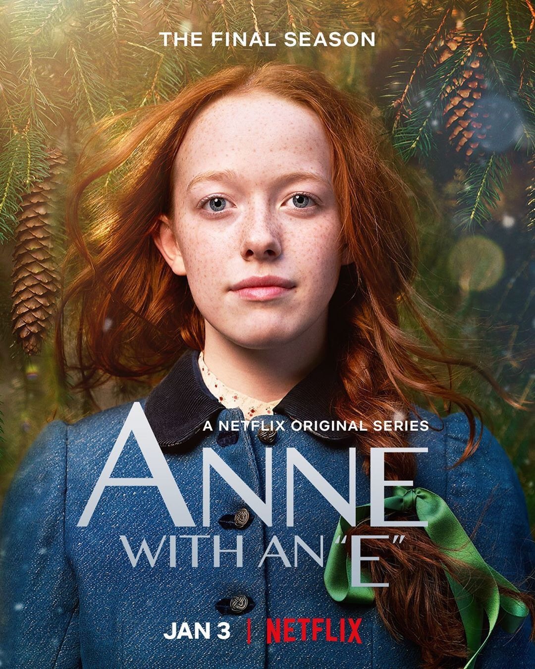 Anne (#3 of 3): Extra Large TV Poster Image - IMP Awards - Was Anne Burrell’s Husband Arrested? Rumors and the Real Story