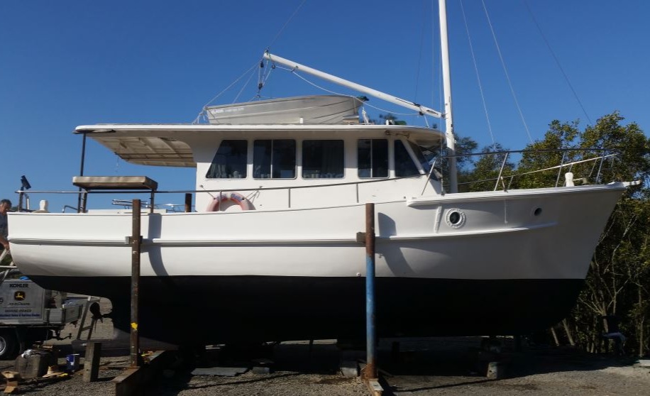 APPLICATIONS — MARINE DIESEL - Bay Belle: Sexy Pics of the TikTok Darling with Charisma
