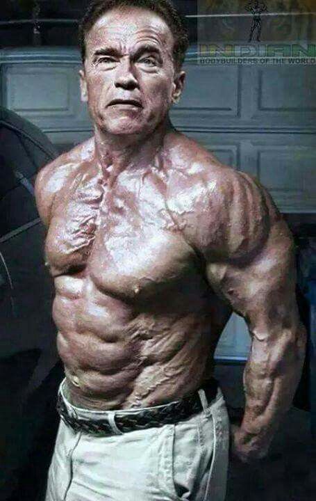 Arnold Schwarzenegger: Classic Bodybuilder Measurements Revealed