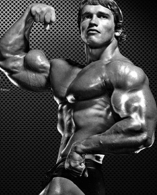 Arnold Schwarzenegger, Austria (30 July 1947) > USA, height 6-foot-2 - Arnold Schwarzenegger: Classic Bodybuilder Measurements Revealed