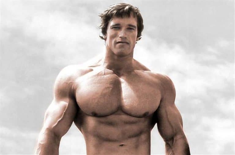 Arnold Schwarzenegger - Biography, Height & Life Story | Super Stars Bio - What Is The Net Worth Of Arnold Schwarzenegger