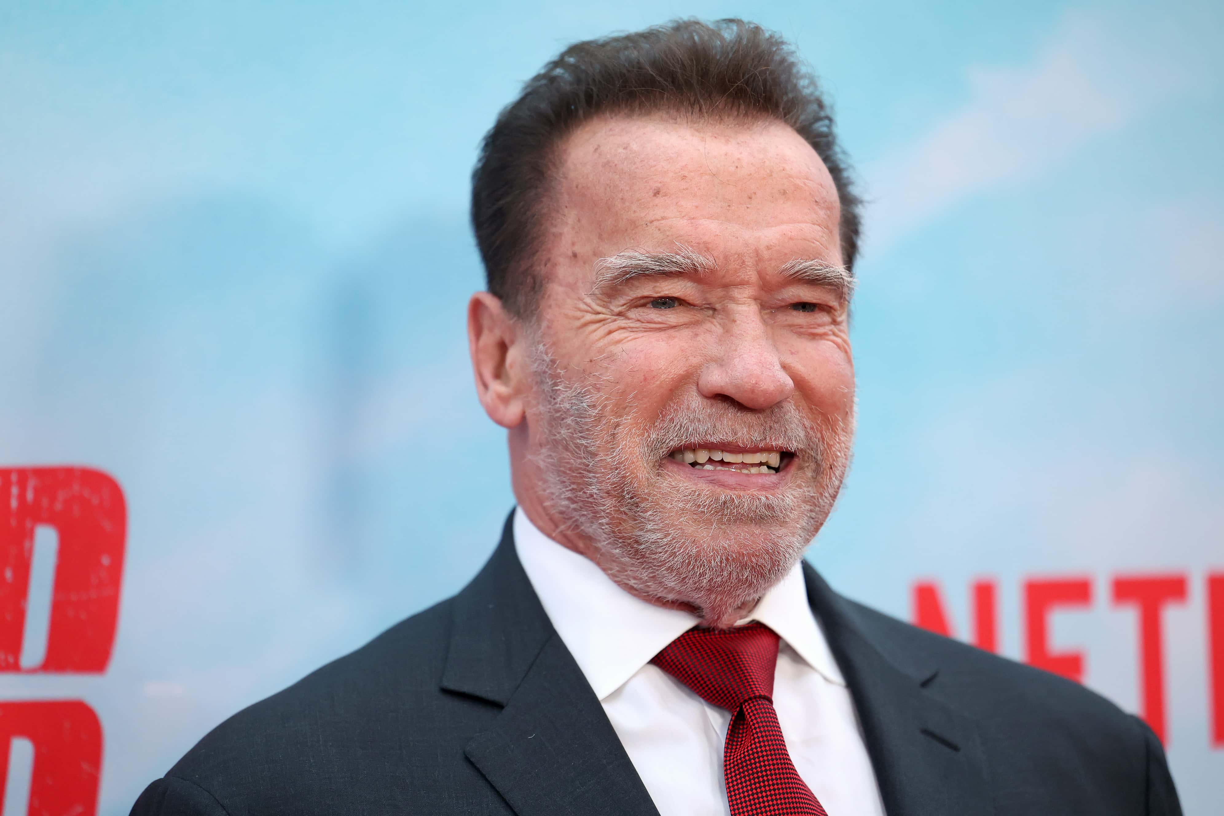 Arnold Schwarzenegger Body 2025 - Chloe Spencer - Arnold Schwarzenegger: Classic Bodybuilder Measurements Revealed