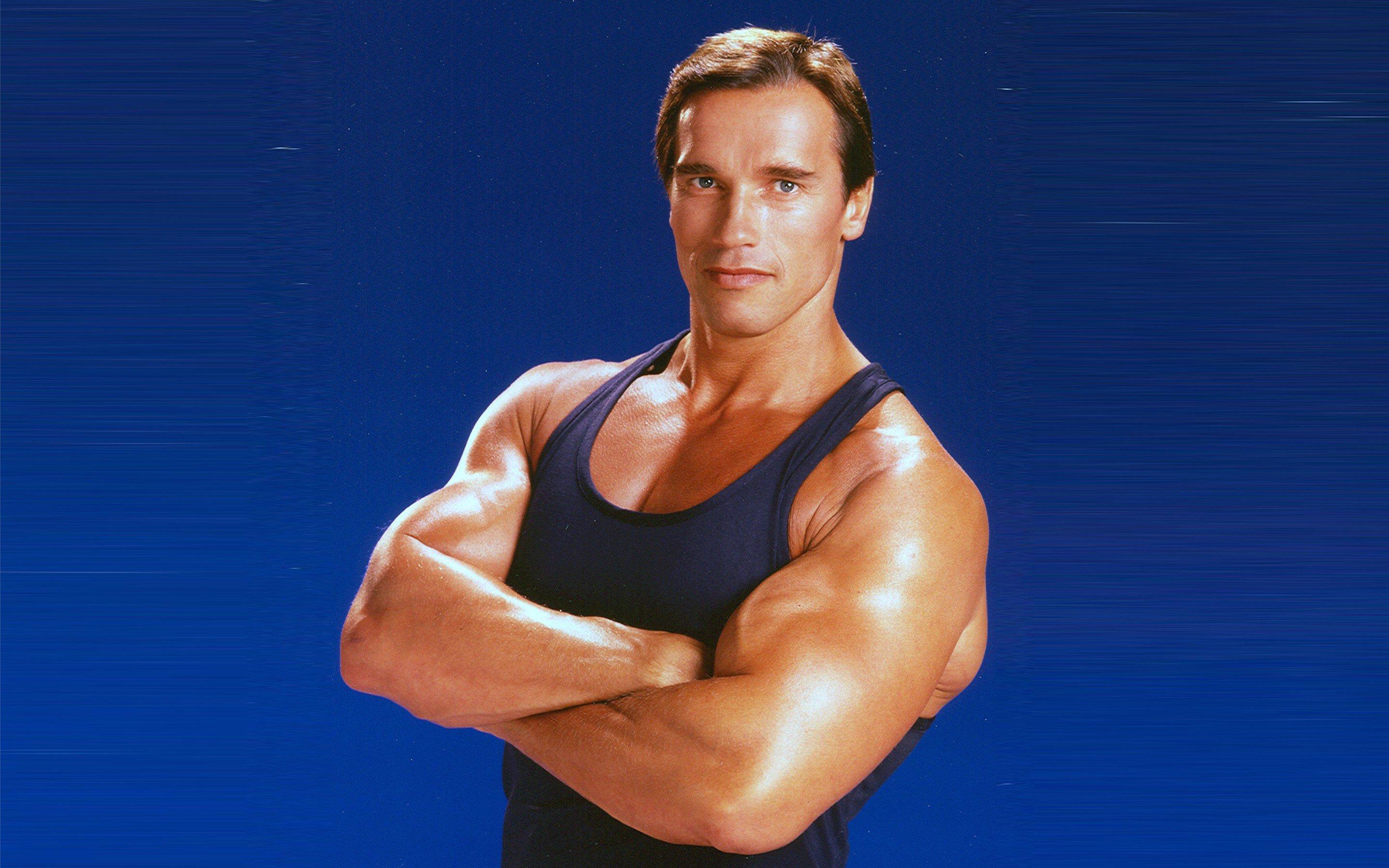 Arnold Schwarzenegger Body Wallpaper 2022 - Arnold Schwarzenegger: Classic Bodybuilder Measurements Revealed