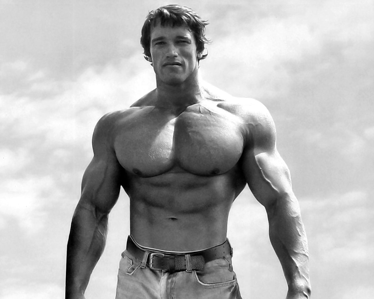 Arnold Schwarzenegger | HD Wallpapers (High Definition) | Free Background - What Is The Net Worth Of Arnold Schwarzenegger