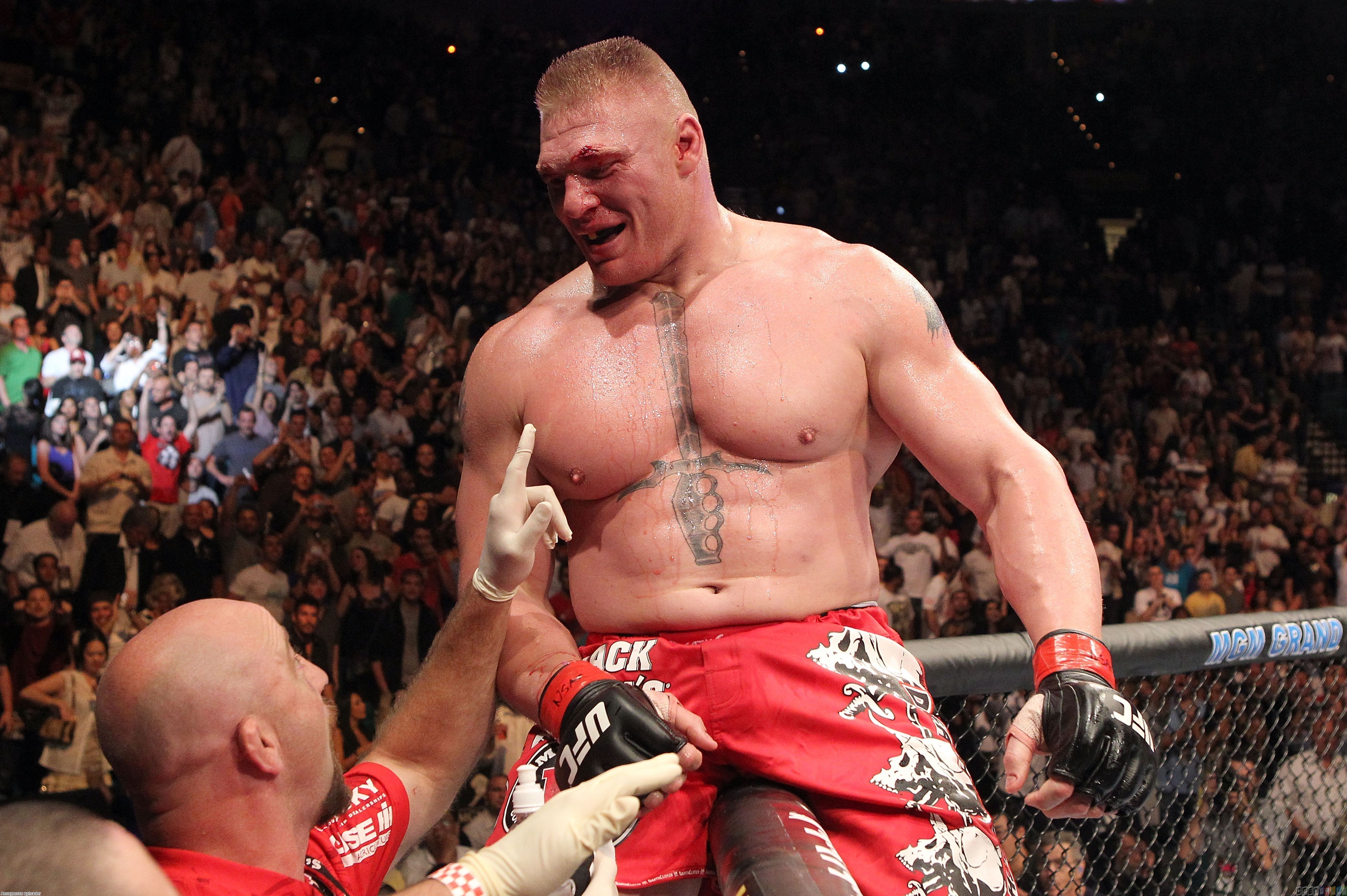 Brock Lesnar UFC Wallpaper - WallpaperSafari - Brock Lesnar Ethnicity: The Beast Incarnate's Background