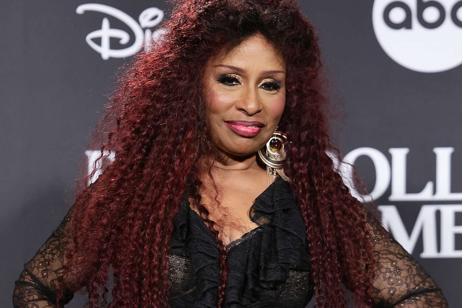 How Old Is Chaka Khan? Queen Of Funk's Age And Music Journey