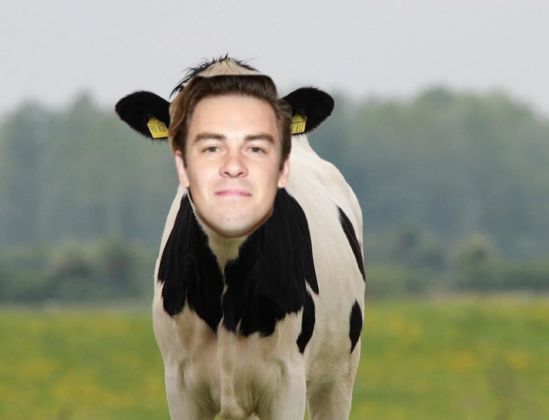 Cowdy Ko : r/codyko - Cody Ko's Actual Height: How Tall Is The YouTuber-Turned-Comedian?