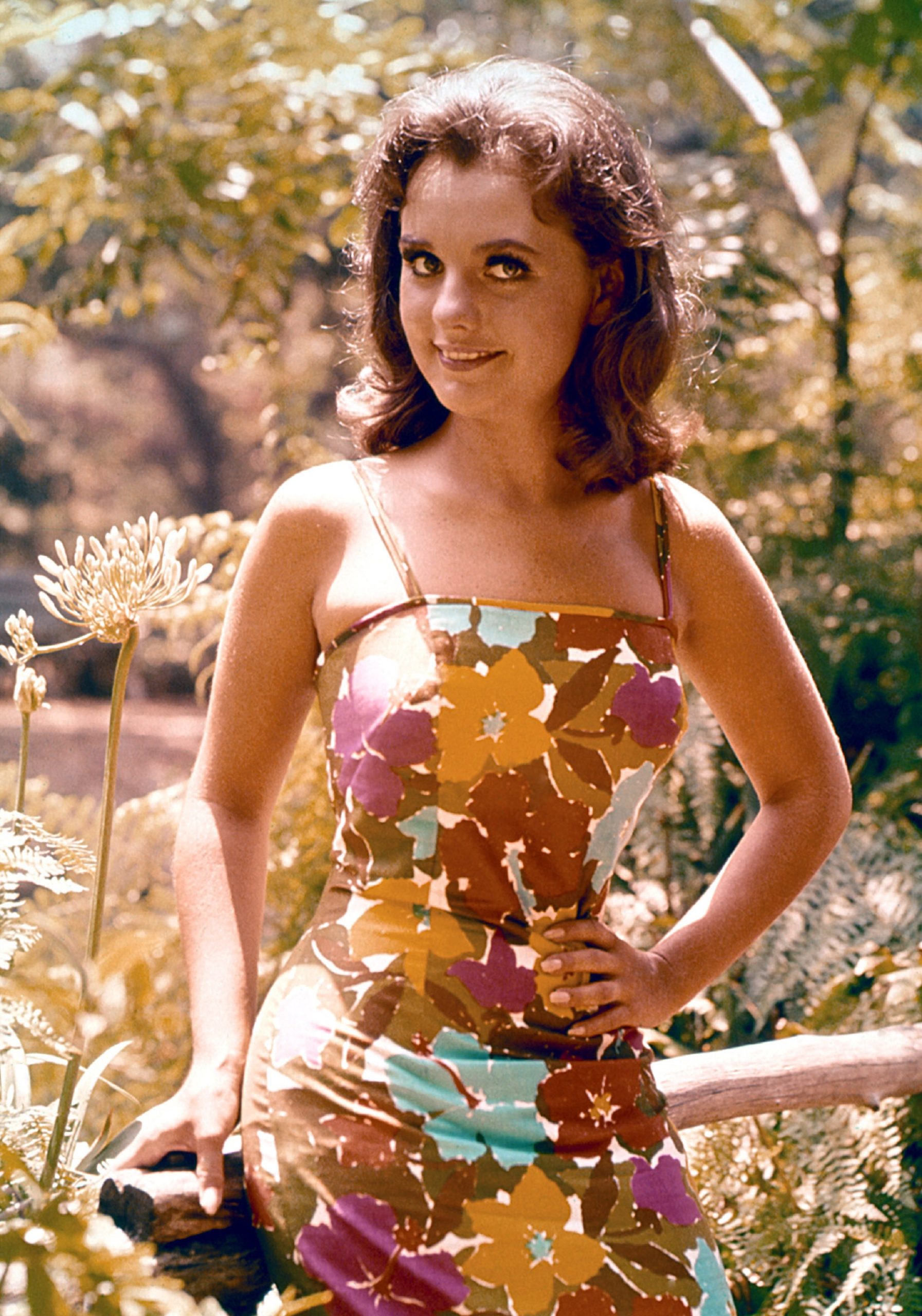 Dawn Wells Height – Gilligan's Island Star Measured