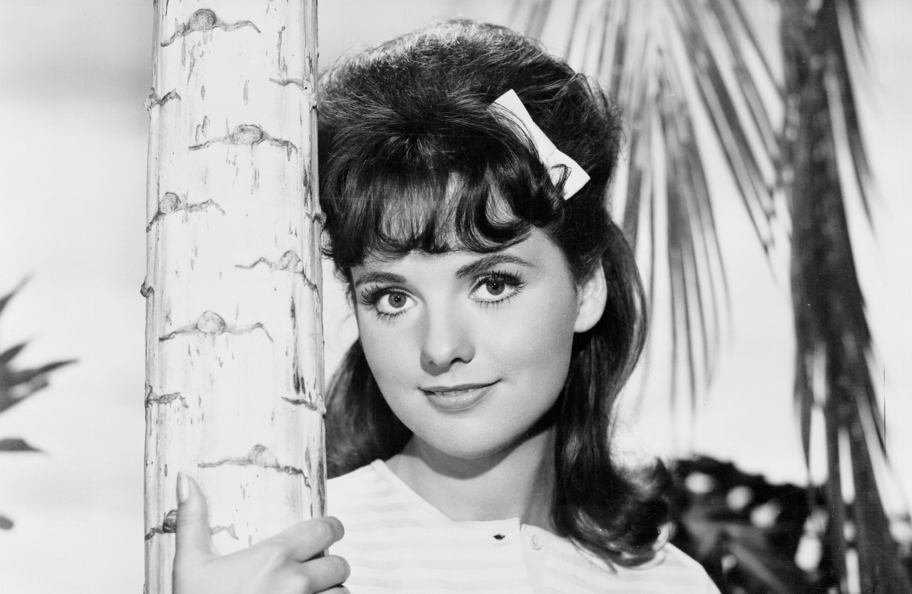 Dawn Wells - Turner Classic Movies - Dawn Wells Height – Gilligan's Island Star Measured