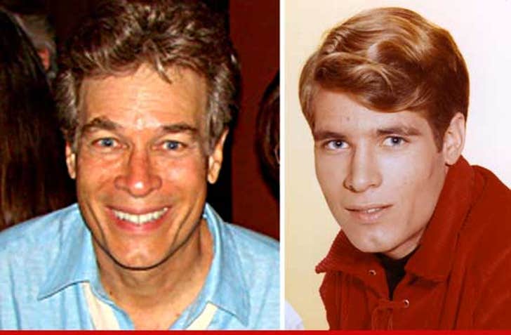 Don Grady Dead -- 'My Three Sons' Star Dies at 68 - How Tall Was Don Grady? My Three Sons Actor Revealed