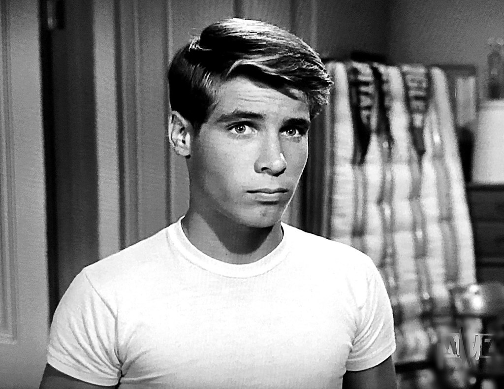 Don Grady in "My Three Sons." | Don Grady "My Three Sons" Ep… | Flickr - How Tall Was Don Grady? My Three Sons Actor Revealed