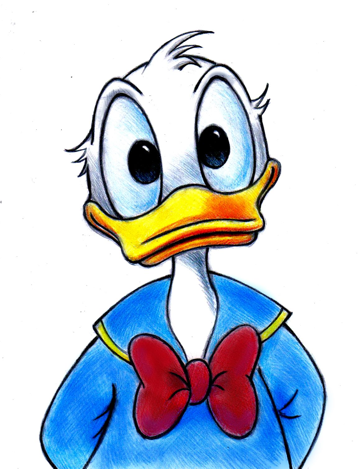 Donald Duck by zdrer456 on DeviantArt | Disney sketches, Donald duck - How Tall Is Donald Duck? – You Won’t Believe This Answer!
