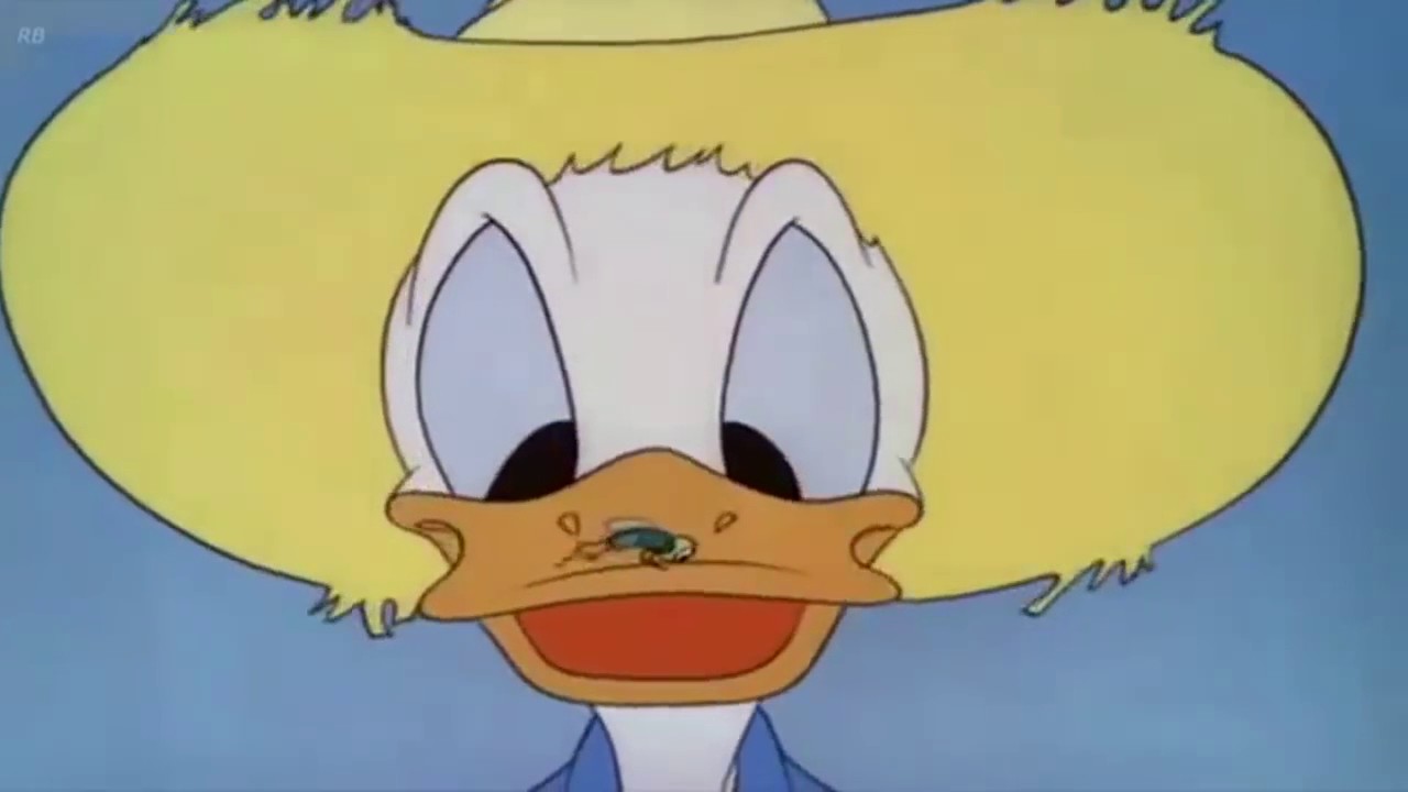 How Old Is Donald Duck? – You Won’t Believe The Answer!