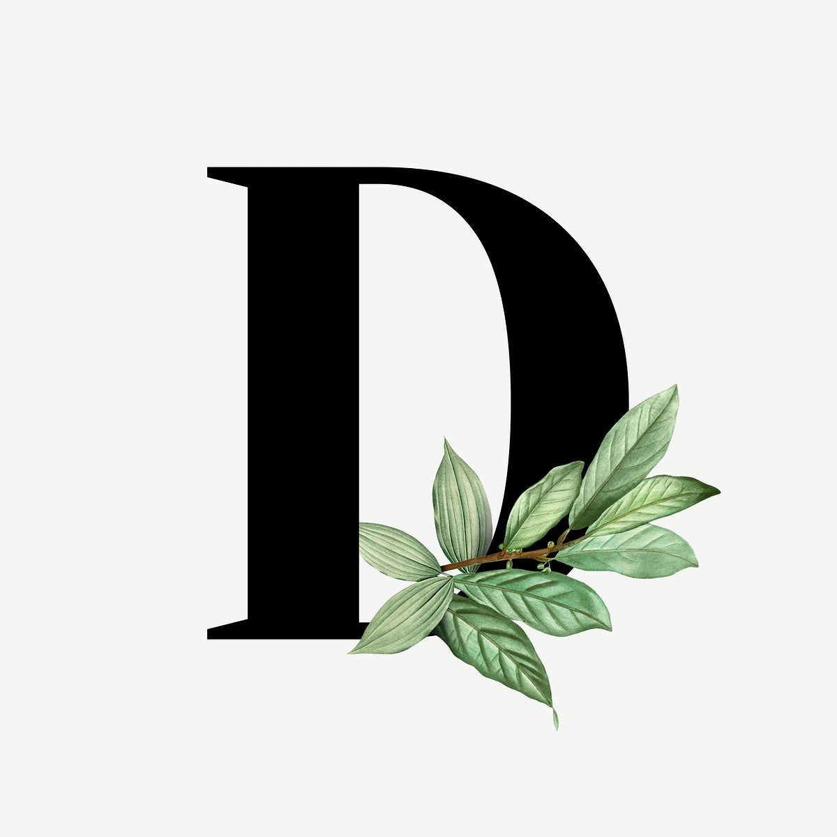 Download premium illustration of Botanical capital letter D - D.L. Hughley Height – Comedy Great's True Size