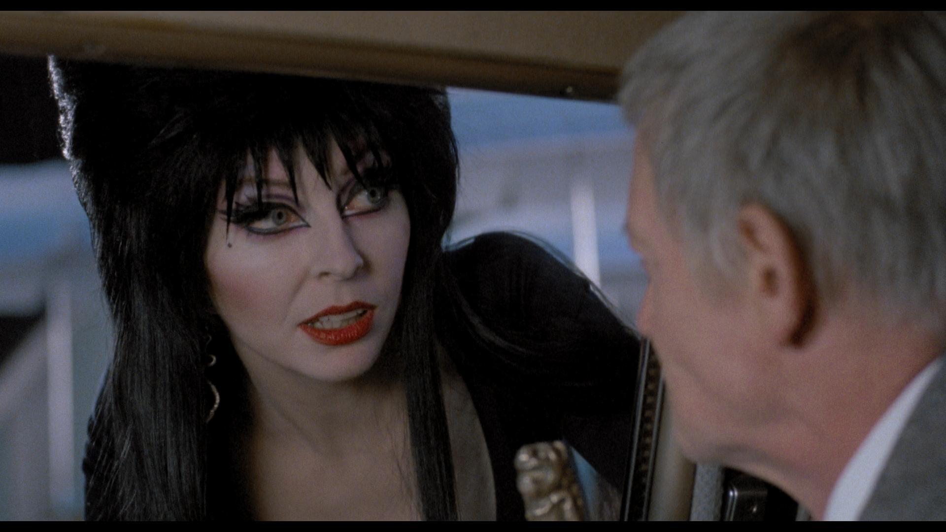 Elvira Mistress of the Dark Wallpapers - Top Free Elvira Mistress of - Elvira, Mistress Of The Dark: Measurements, Height & Classic Glam