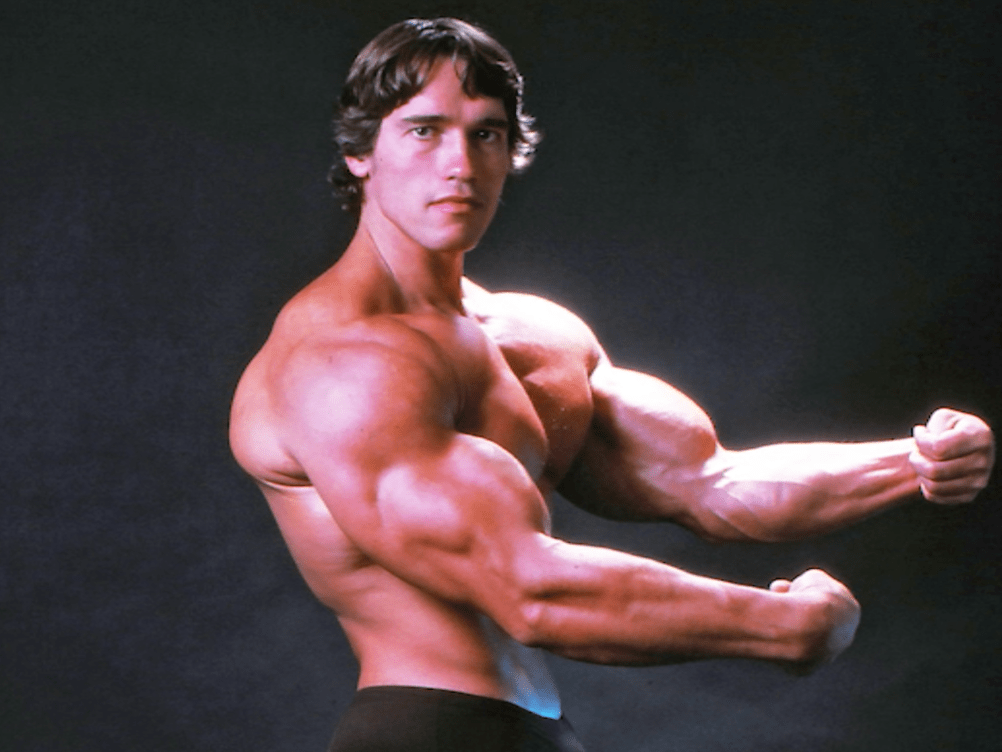 Estrenará Arnold Schwarzenegger su primera serie y un documental en - What Is The Net Worth Of Arnold Schwarzenegger