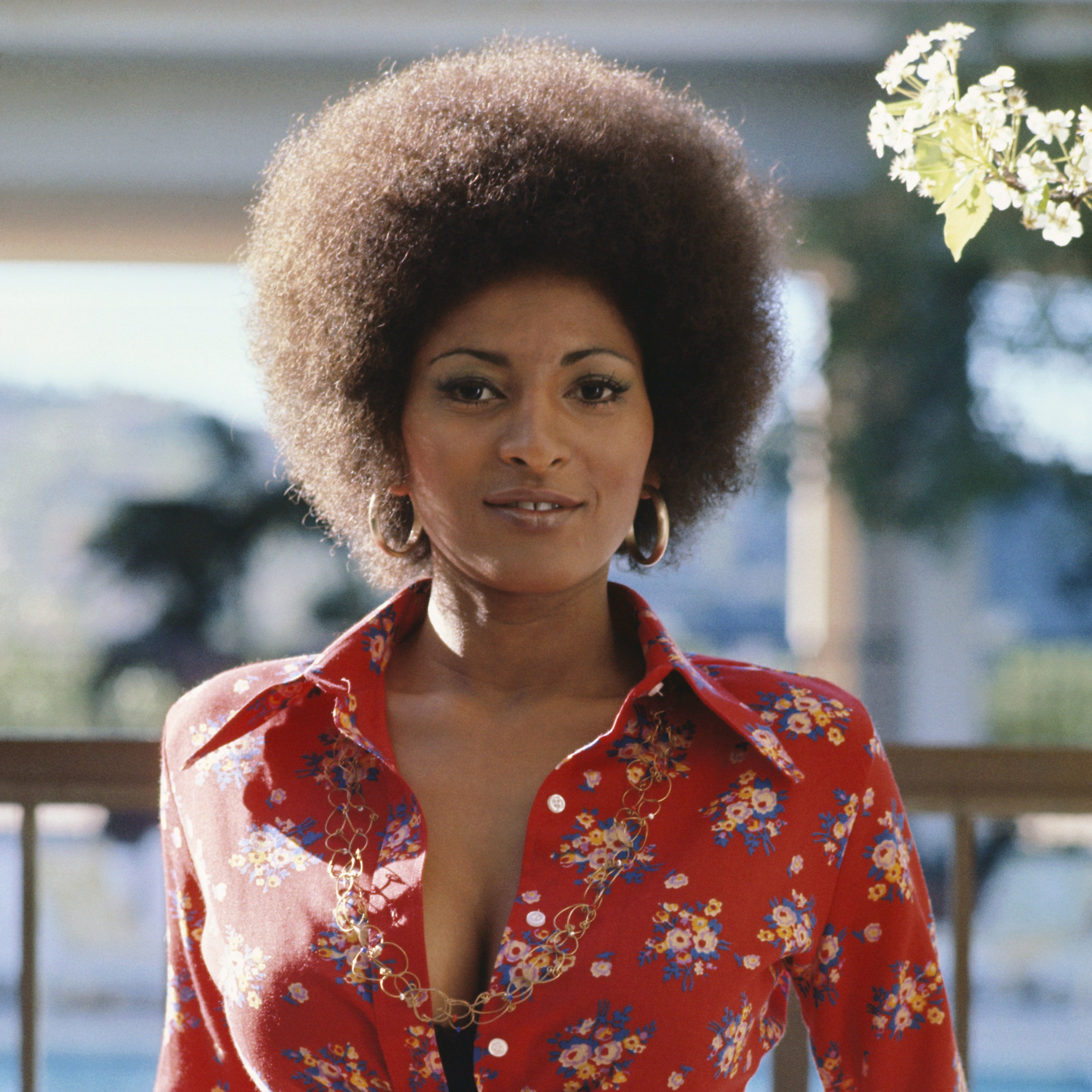 Pam Grier Height: Hollywood Icon's Stature Revealed