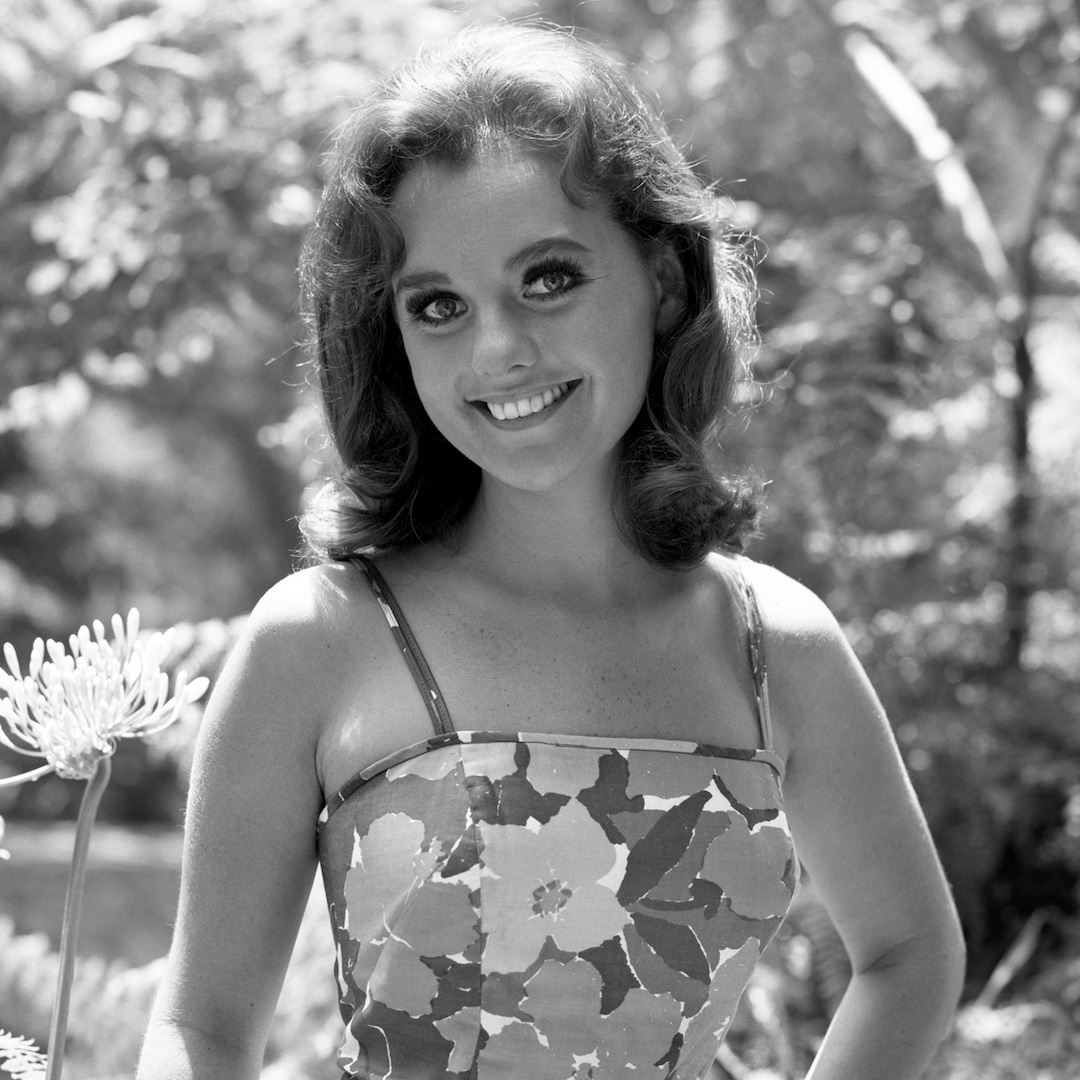 Gilligan’s Island’s Dawn Wells Dead at 82 - Dawn Wells Height – Gilligan's Island Star Measured