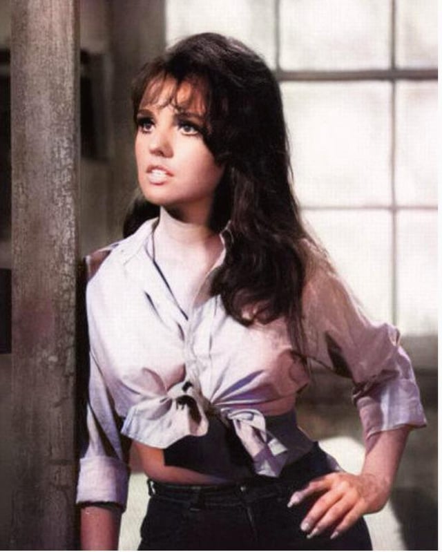 Ginger or Mary Ann? 'Gilligan' fans still ponder question : r/RedditDayOf - Dawn Wells Height – Gilligan's Island Star Measured