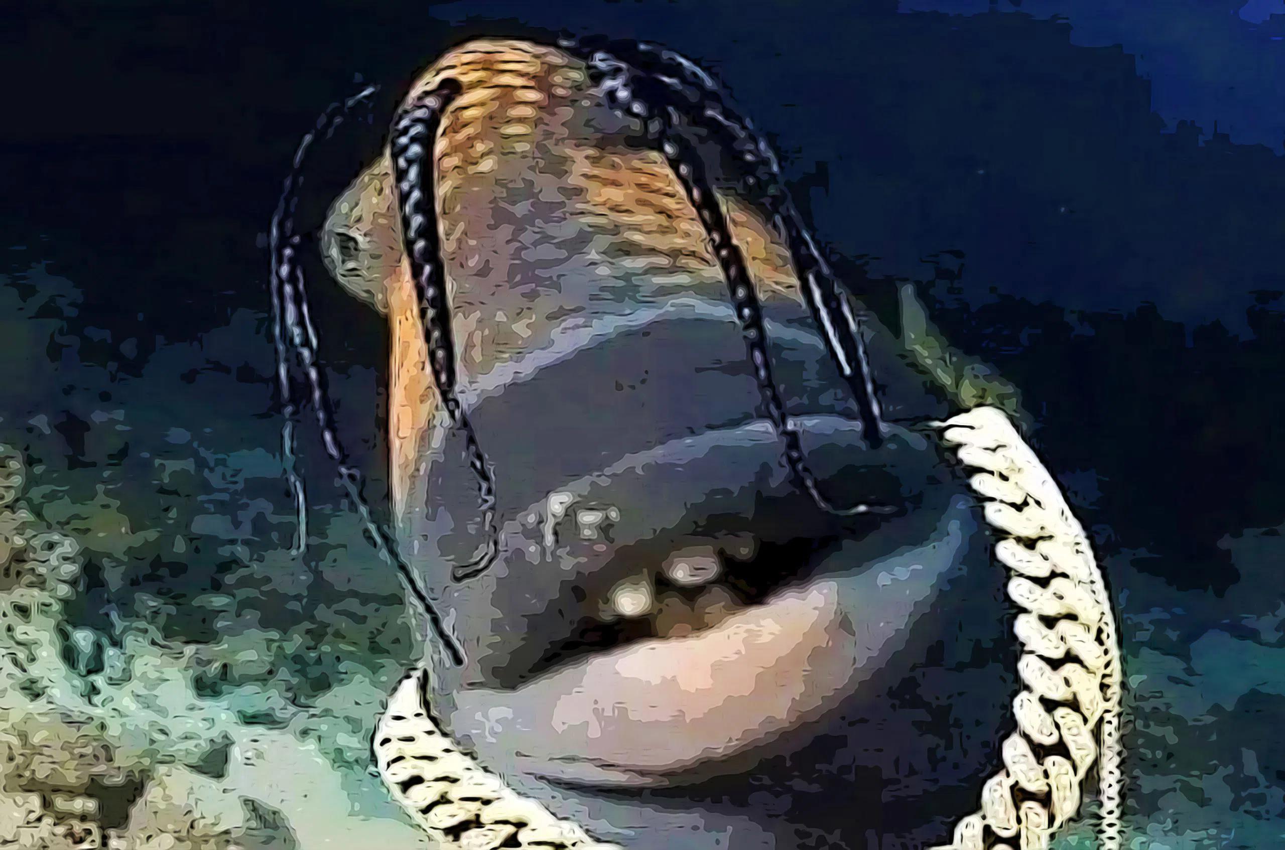 Grab The Ultimate Guide To Travis Scott's Fish Extravaganza - Who Is Travis Scott Dating In 2025? Latest Relationship Updates