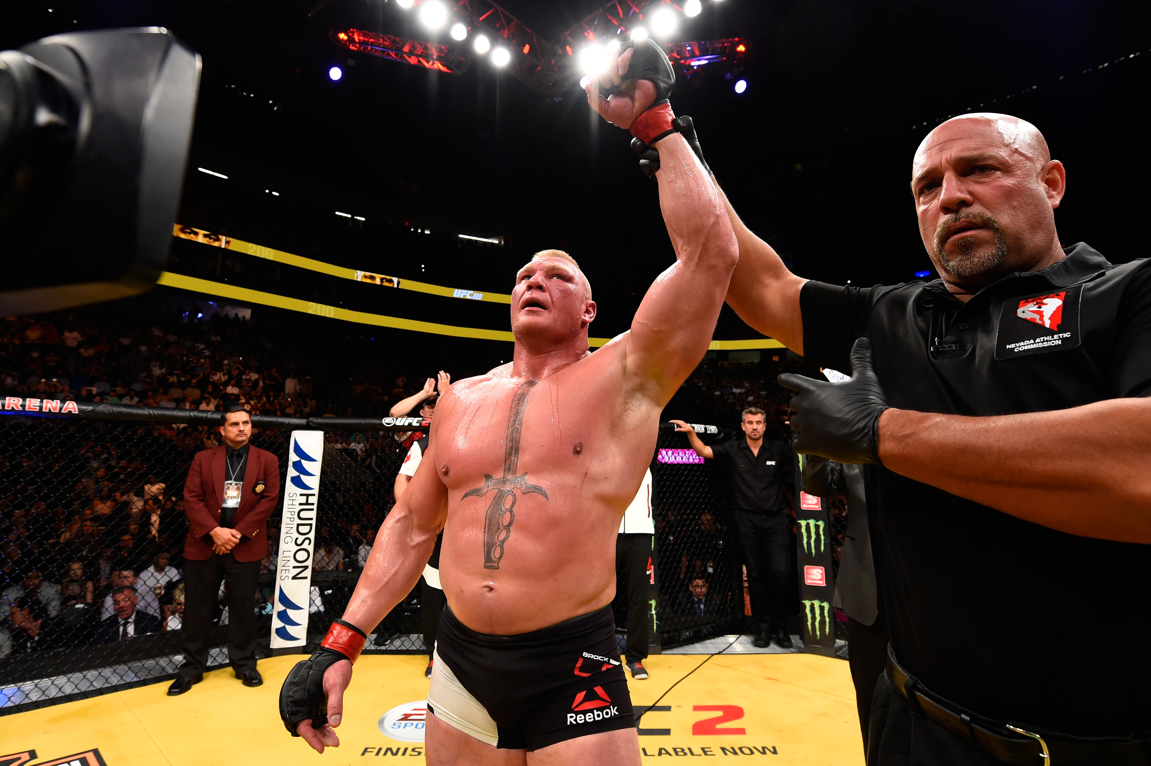 How Brock Lesnar nearly died when doctors removed part of his - Brock Lesnar Ethnicity: The Beast Incarnate's Background