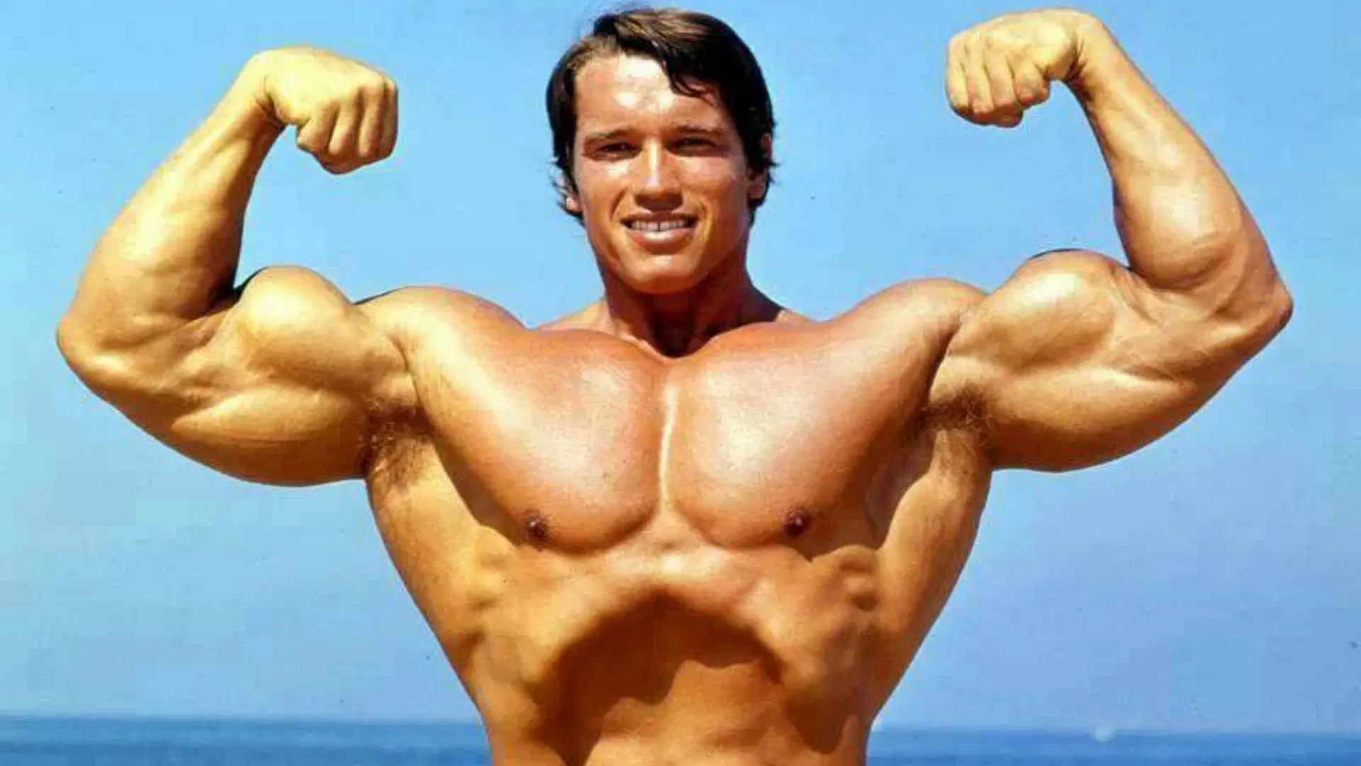 How Much Protein Did Arnold Schwarzenegger Eat Daily to Build Muscle? - What Is The Net Worth Of Arnold Schwarzenegger