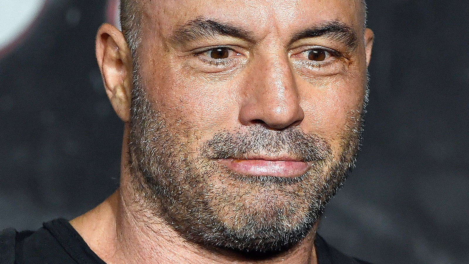 How Tall Is Joe Rogan? – Comedian and Commentator’s Height