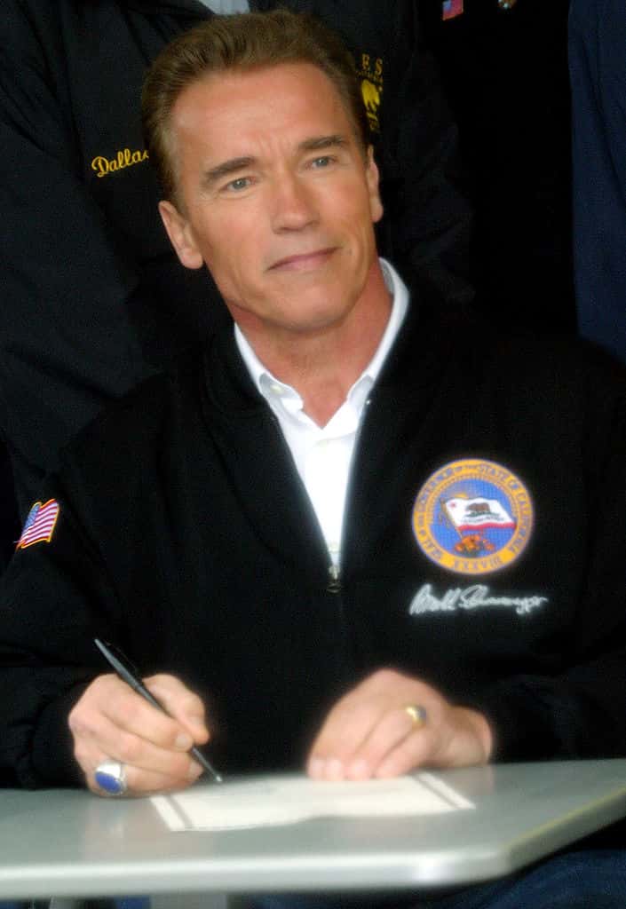 What Is The Net Worth Of Arnold Schwarzenegger