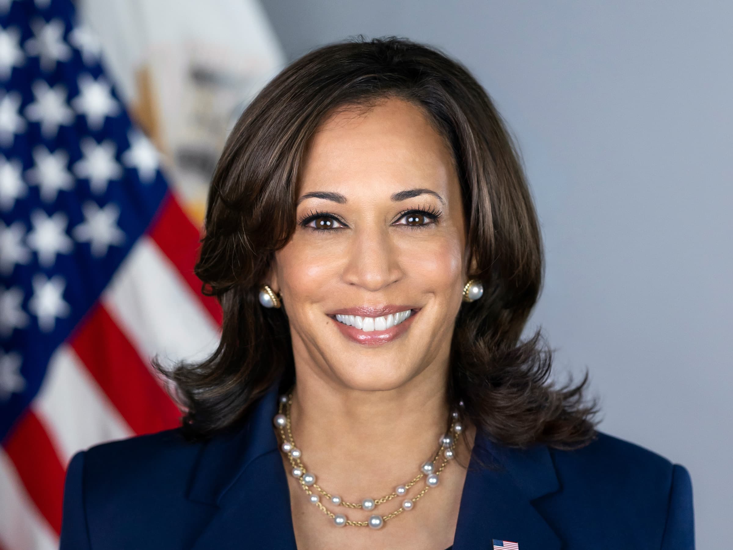 Is Kamala Harris Running In 2024 - Kath Bendite - Kamala Harris' Net Worth Before And After Vp