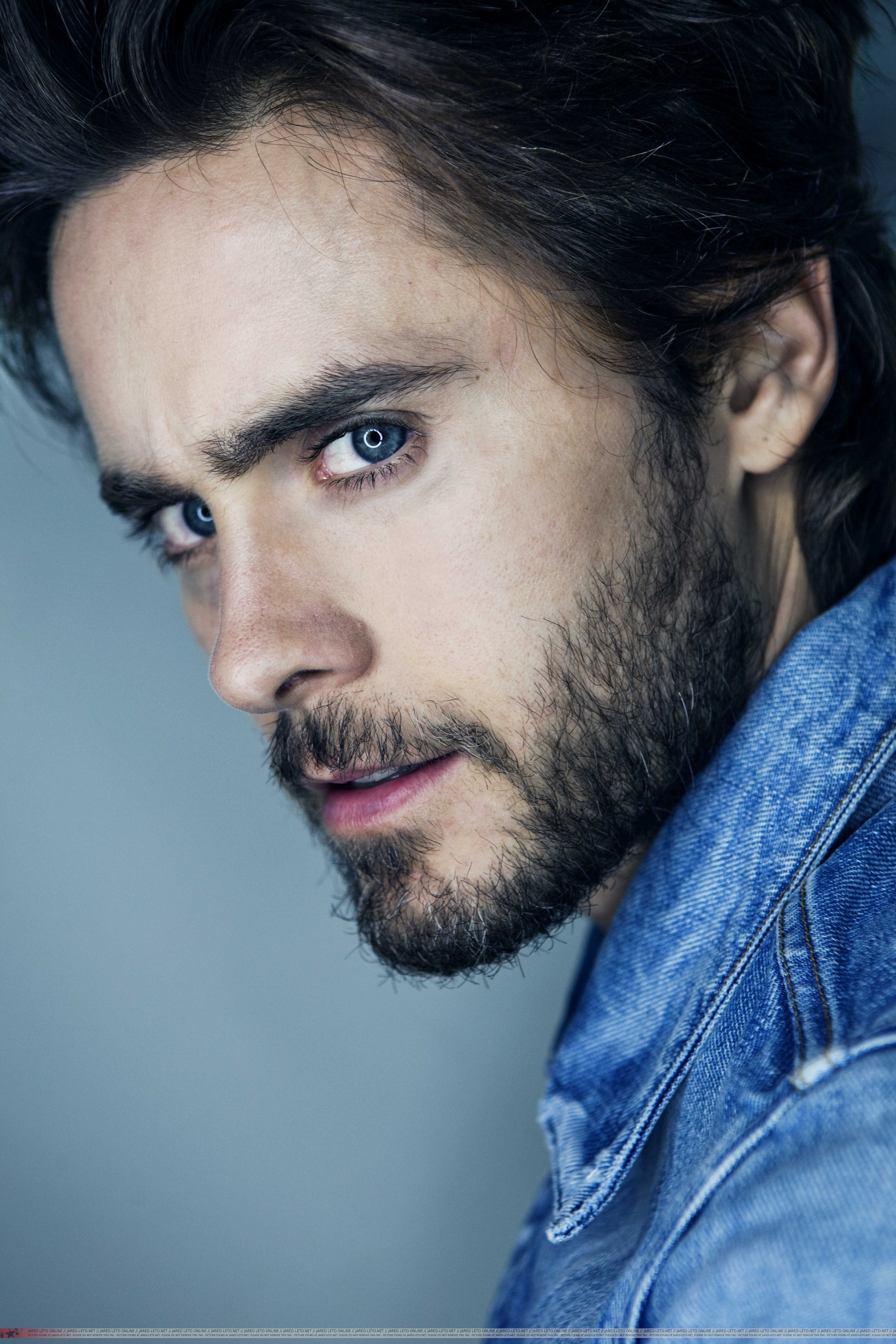 jared leto - Jared Leto Foto (34348126) - Fanpop - Jared Leto Height: Rockstar And Actor's Real Size