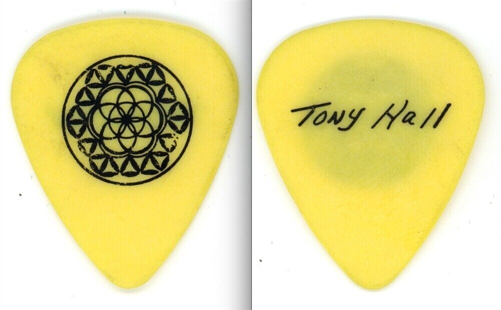 Jewel Kilcher Tony Hall Signature Yellow Guitar Pick - 1998 Tour - Jewel's Body Measurements, Height, And More: A Complete Breakdown
