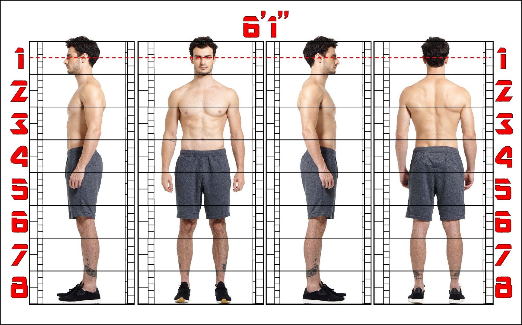 KaffeTech Trainer Shorts | Inspiração - Zendaya’s Model-Like Proportions: Height, Weight & Body Stats