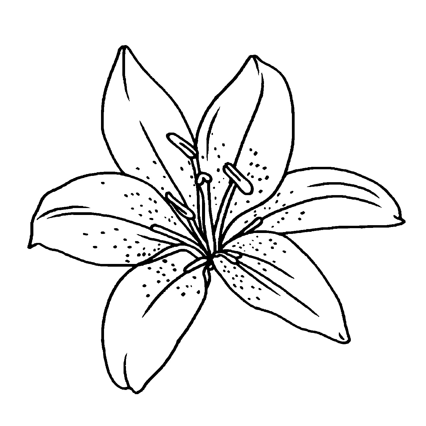 lily flower clipart illustration picture | Clipart Nepal - Lily Clark: Sexy Pics of the Rising Social Media Star