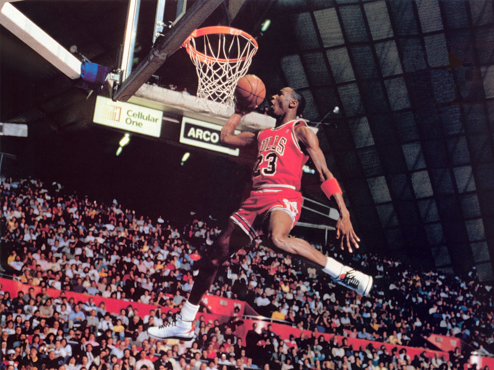 Michael Jordan - Michael Jordan Wallpaper (225012) - Fanpop - Michael Jordan Net Worth: NBA Legend's Billion-Dollar Empire