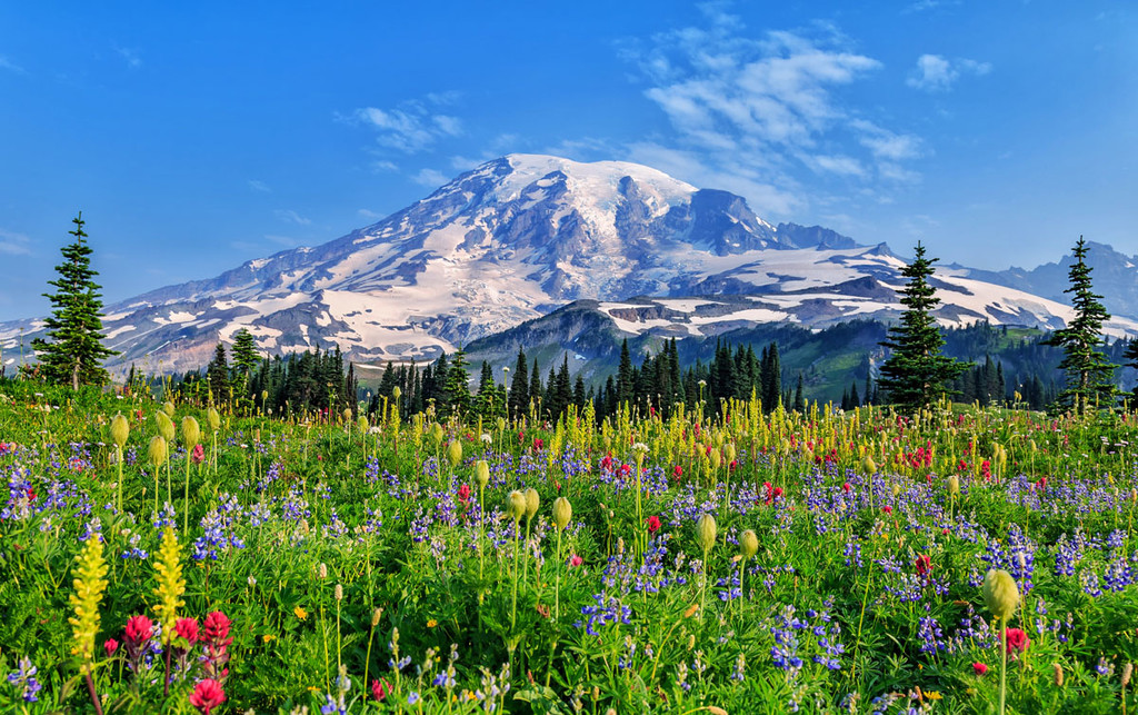 Mount Rainier - Mt Rainier Height – Just How Tall Is the Iconic Mountain?