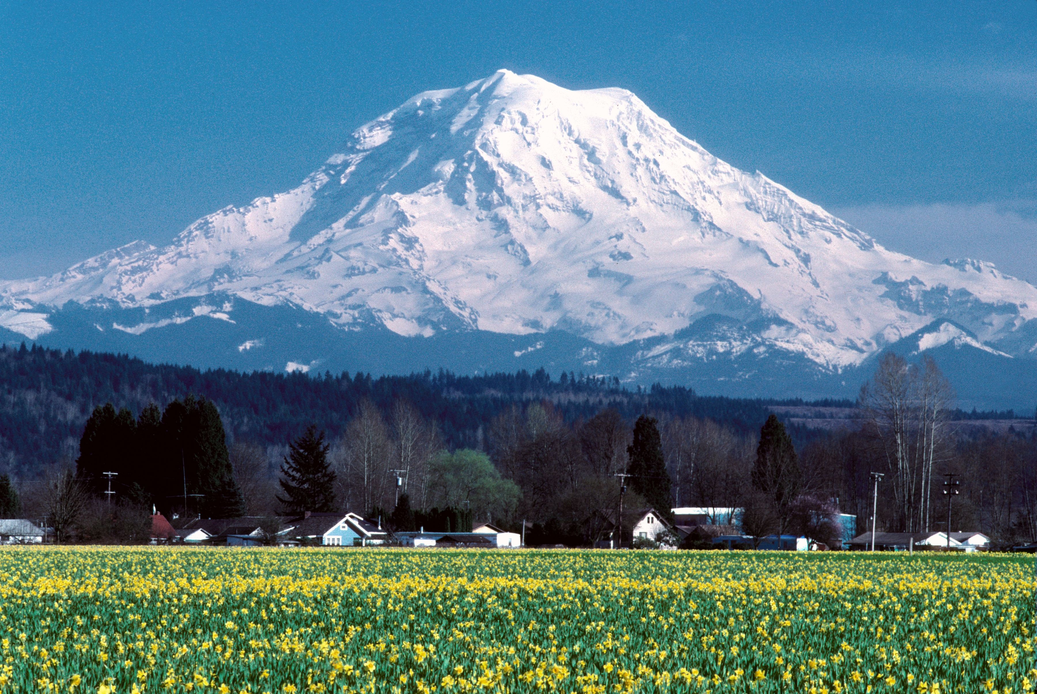Mt Rainier Height – Just How Tall Is the Iconic Mountain?
