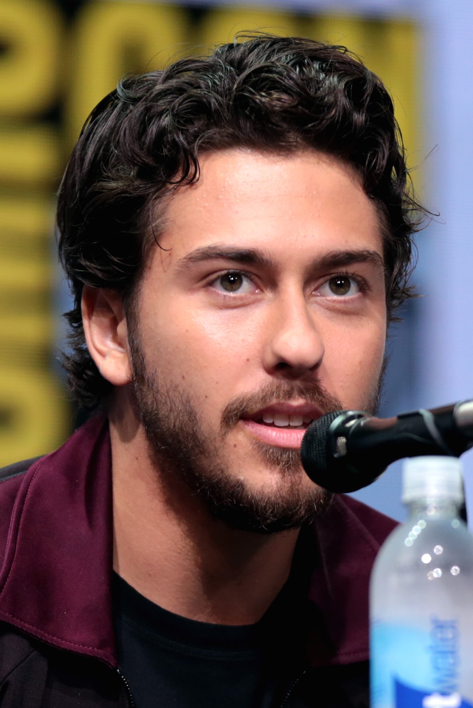Nat Wolff - Biography, Height & Life Story | Super Stars Bio - How Old Is Nat Wolff? – The Actor-Musician’s Age & Career Journey