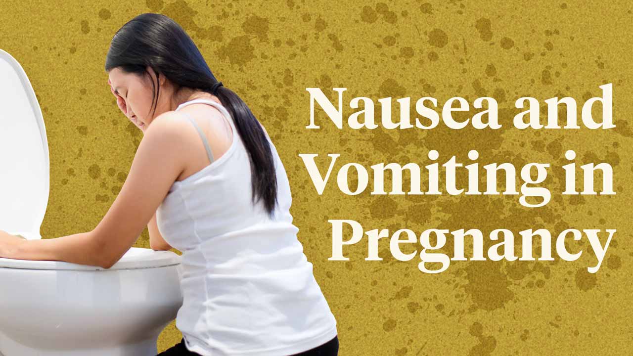 Nausea and Vomiting in Pregnancy | Ausmed - When Does Nausea Start In Pregnancy? Early Symptoms Explained
