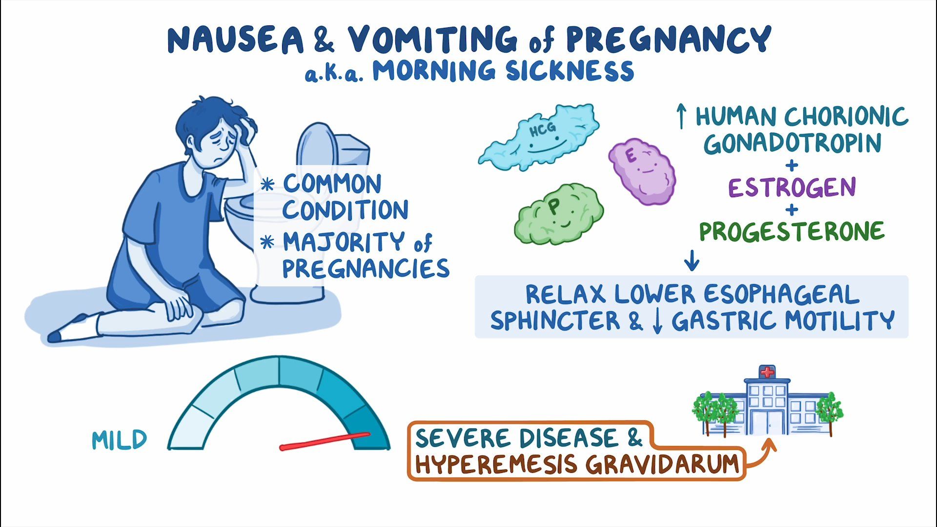 Nausea and vomiting of pregnancy: Clinical sciences - Osmosis Video Library - When Does Nausea Start In Pregnancy? Early Symptoms Explained