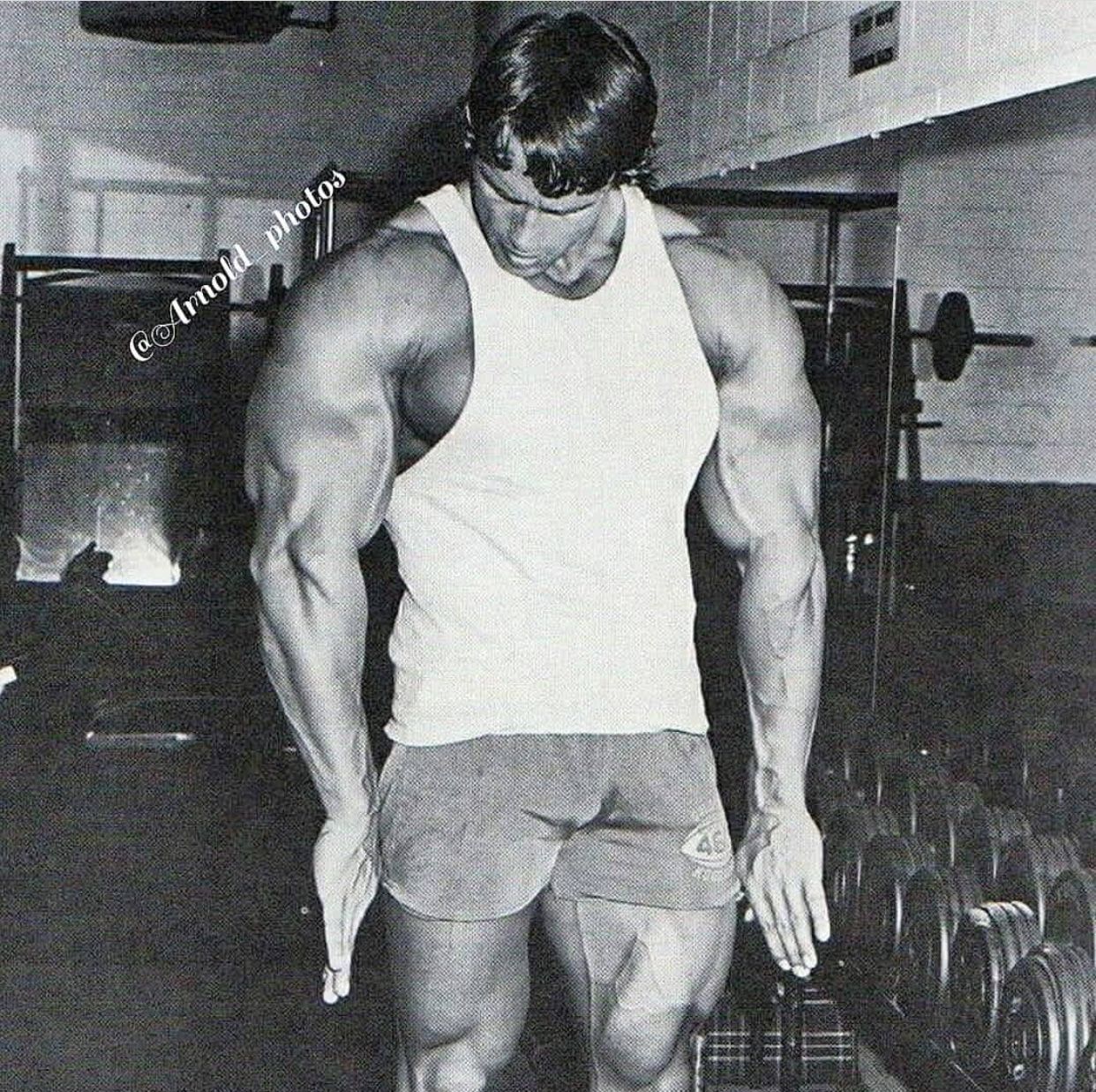Pin by bhushan dalvi on Inspirational Bodies | Bodybuilding pictures - Arnold Schwarzenegger: Classic Bodybuilder Measurements Revealed