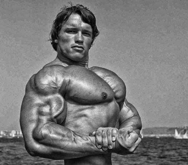 Pin by Rpo on Bodybuilders | Arnold schwarzenegger bodybuilding, Arnold - Arnold Schwarzenegger: Classic Bodybuilder Measurements Revealed