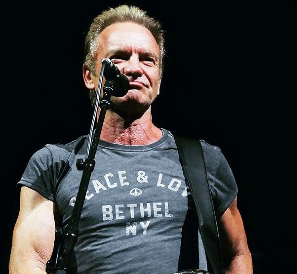 Pin de Cláudia Franklin Stingirl en All about Sting | New wave - How Old Is Sting? Music Legend’s Age And Career Overview