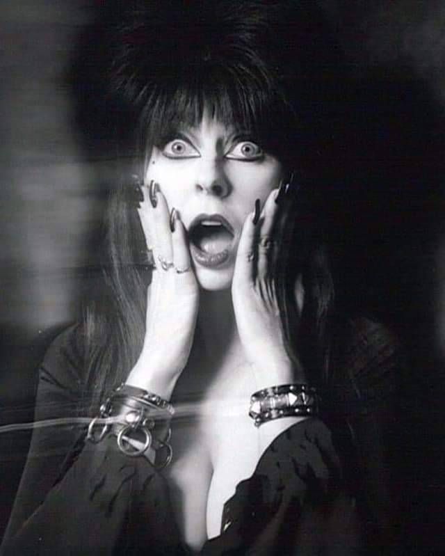 Pin on Elvira Mistress Of The Dark - Elvira, Mistress Of The Dark: Measurements, Height & Classic Glam