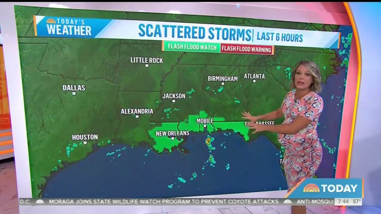 Pregnant Dylan Dreyer TODAY SHOW 17/2021 - YouTube - Is Dylan Dreyer Pregnant? Today Show Fans Wonder After New Clip