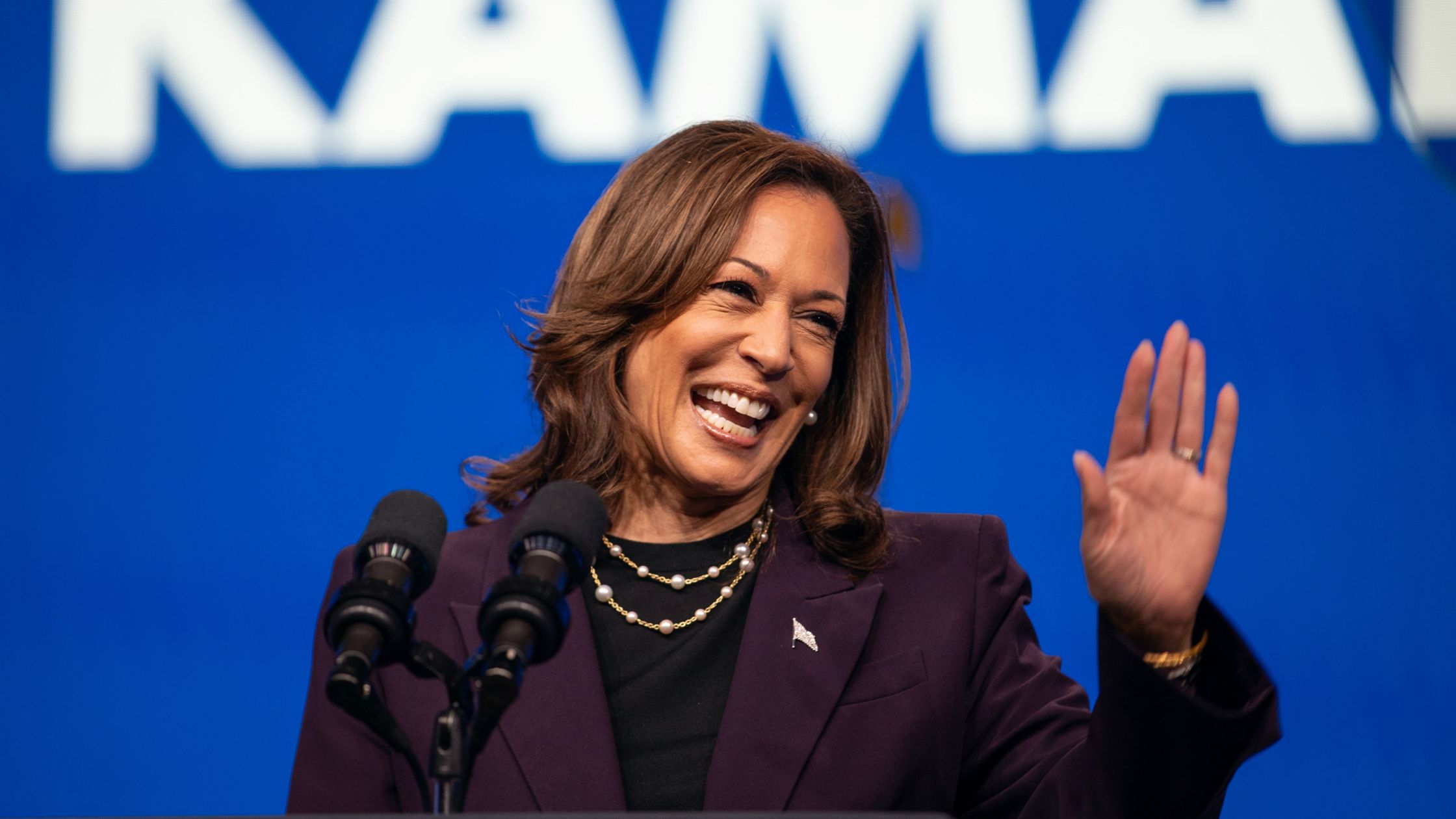 Kamala Harris' Net Worth Before And After Vp