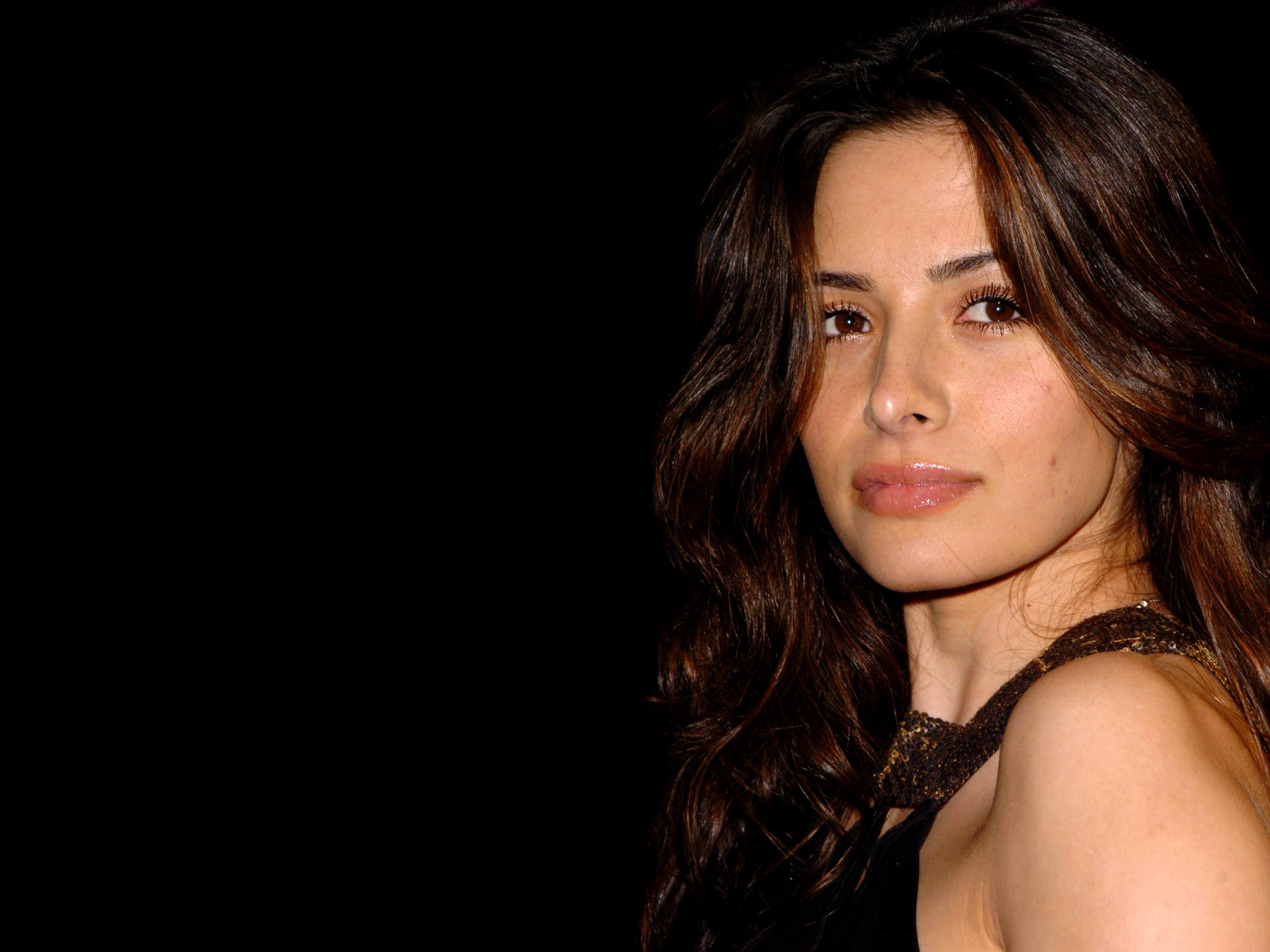 Sarah Shahi HD Wallpapers Free Download in High Quality and Resolution - Sarah Shahi's Sultry Style: Sexy Photos From TV To Red Carpet